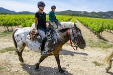 France-Provence-Provence Hills & Wine